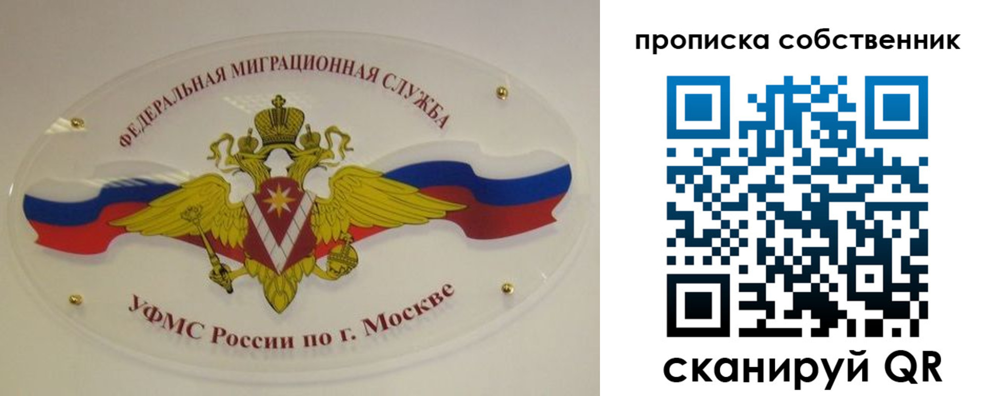 прописка 2025 в Невеле