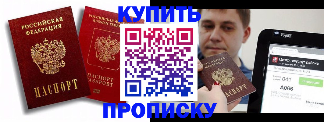 прописка регистрация в Невеле